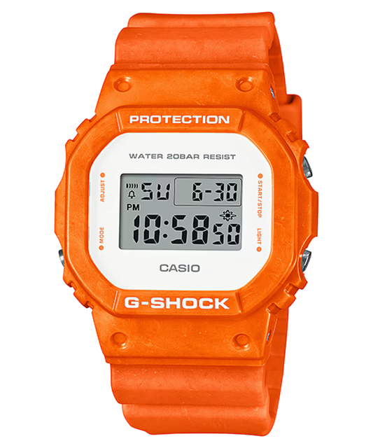 DW-5600WS-4